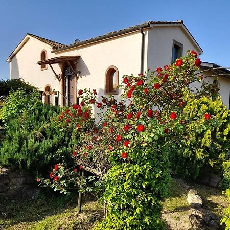 Borgo De' Muracci Ribolla Экстерьер фото