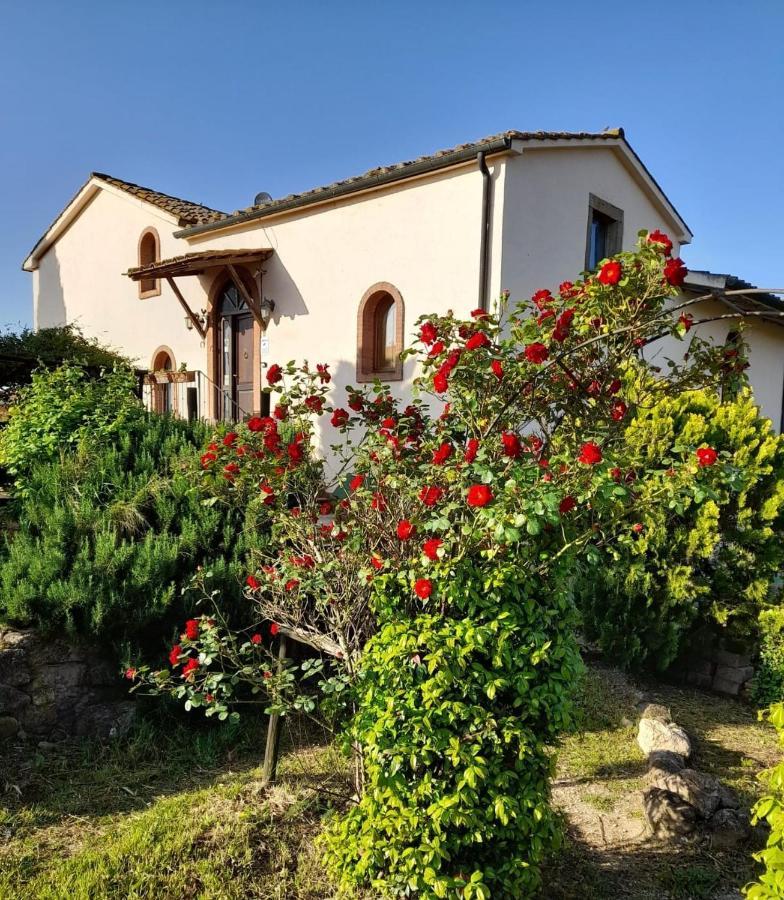 Borgo De' Muracci Ribolla Экстерьер фото