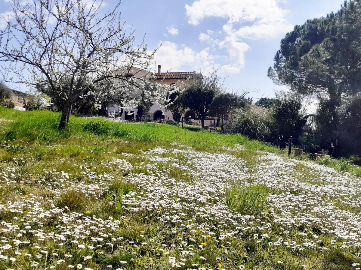 Borgo De' Muracci Ribolla Экстерьер фото