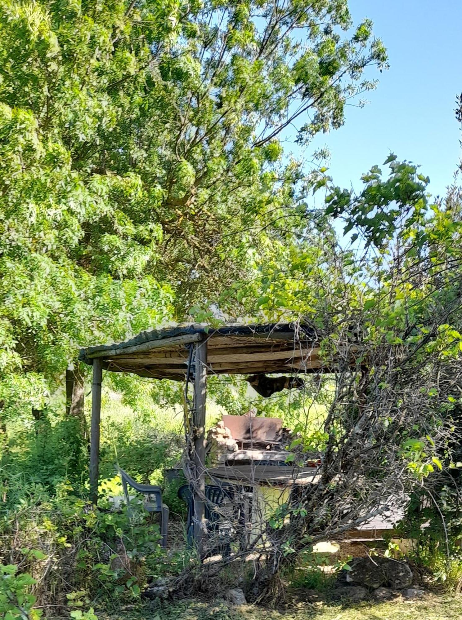 Borgo De' Muracci Ribolla Экстерьер фото