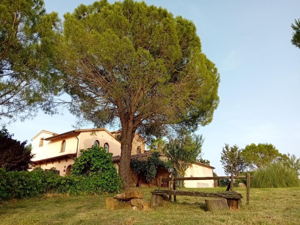 Borgo De' Muracci Ribolla Экстерьер фото