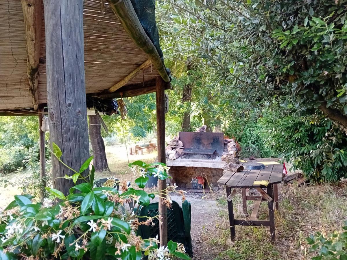 Borgo De' Muracci Ribolla Экстерьер фото
