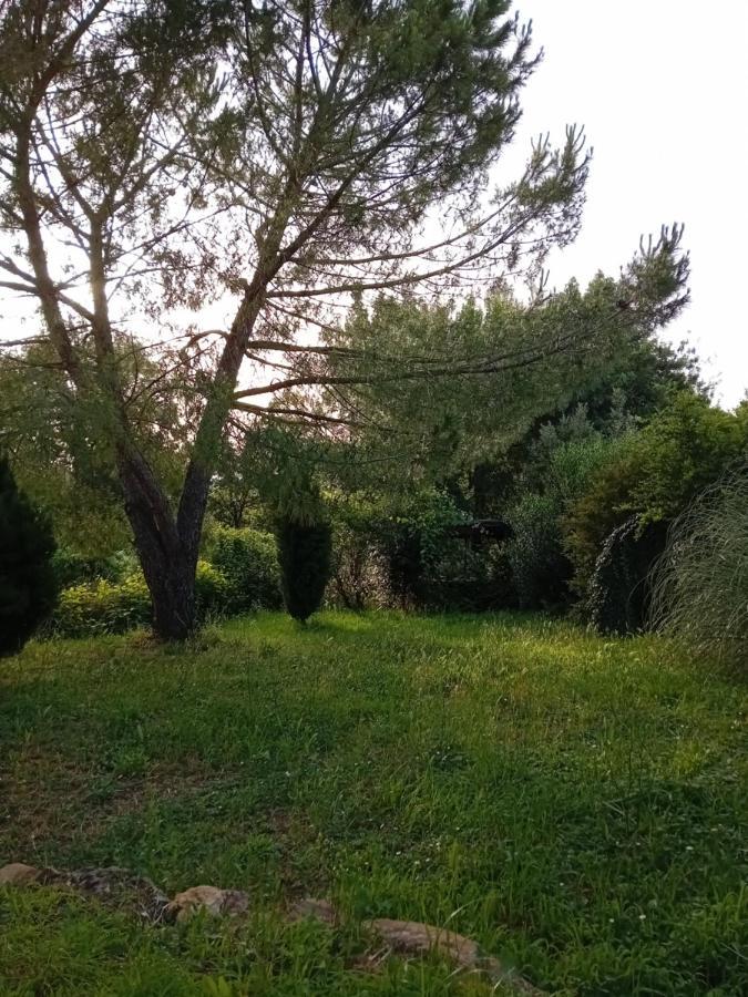 Borgo De' Muracci Ribolla Экстерьер фото