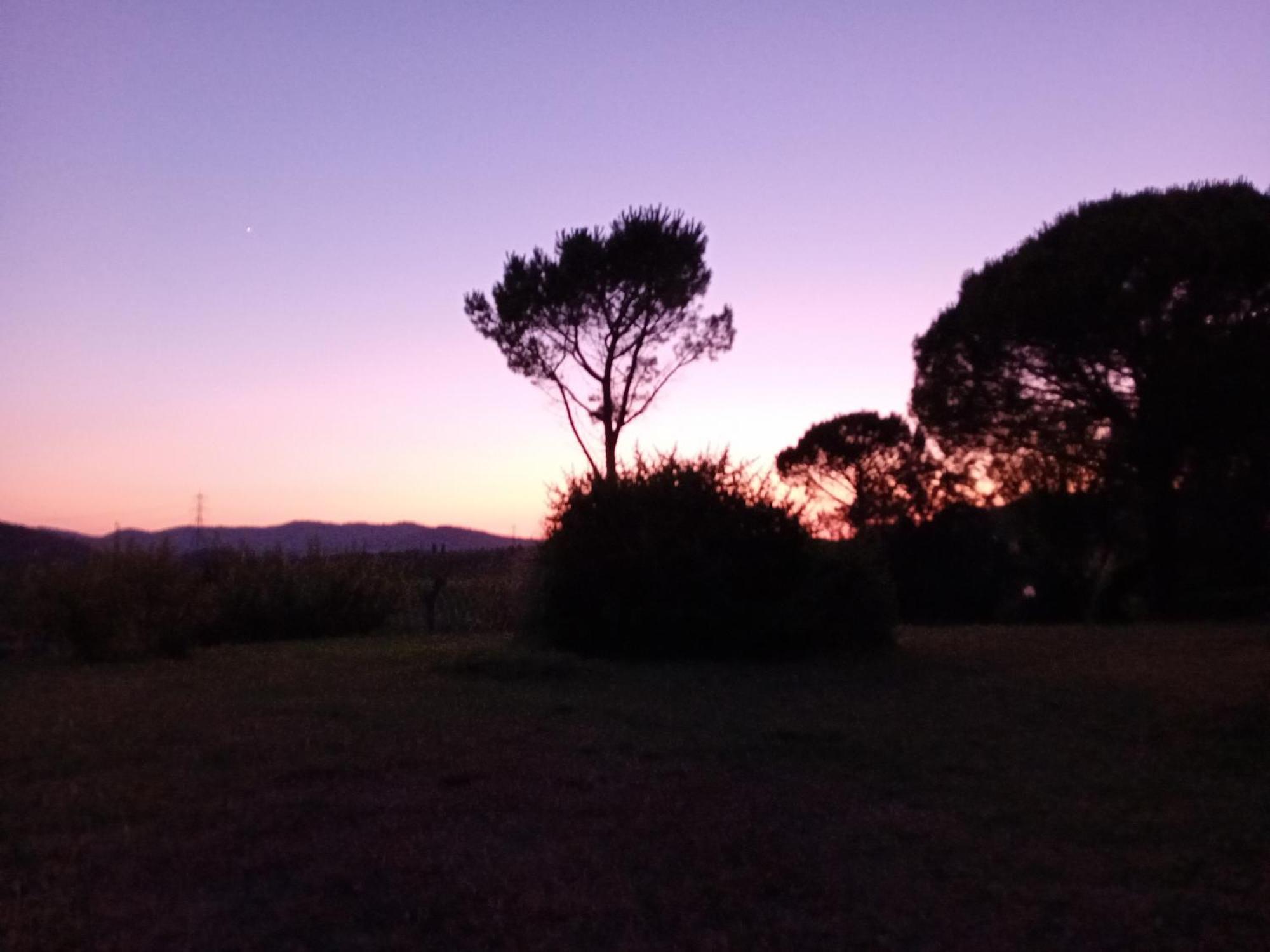 Borgo De' Muracci Ribolla Экстерьер фото