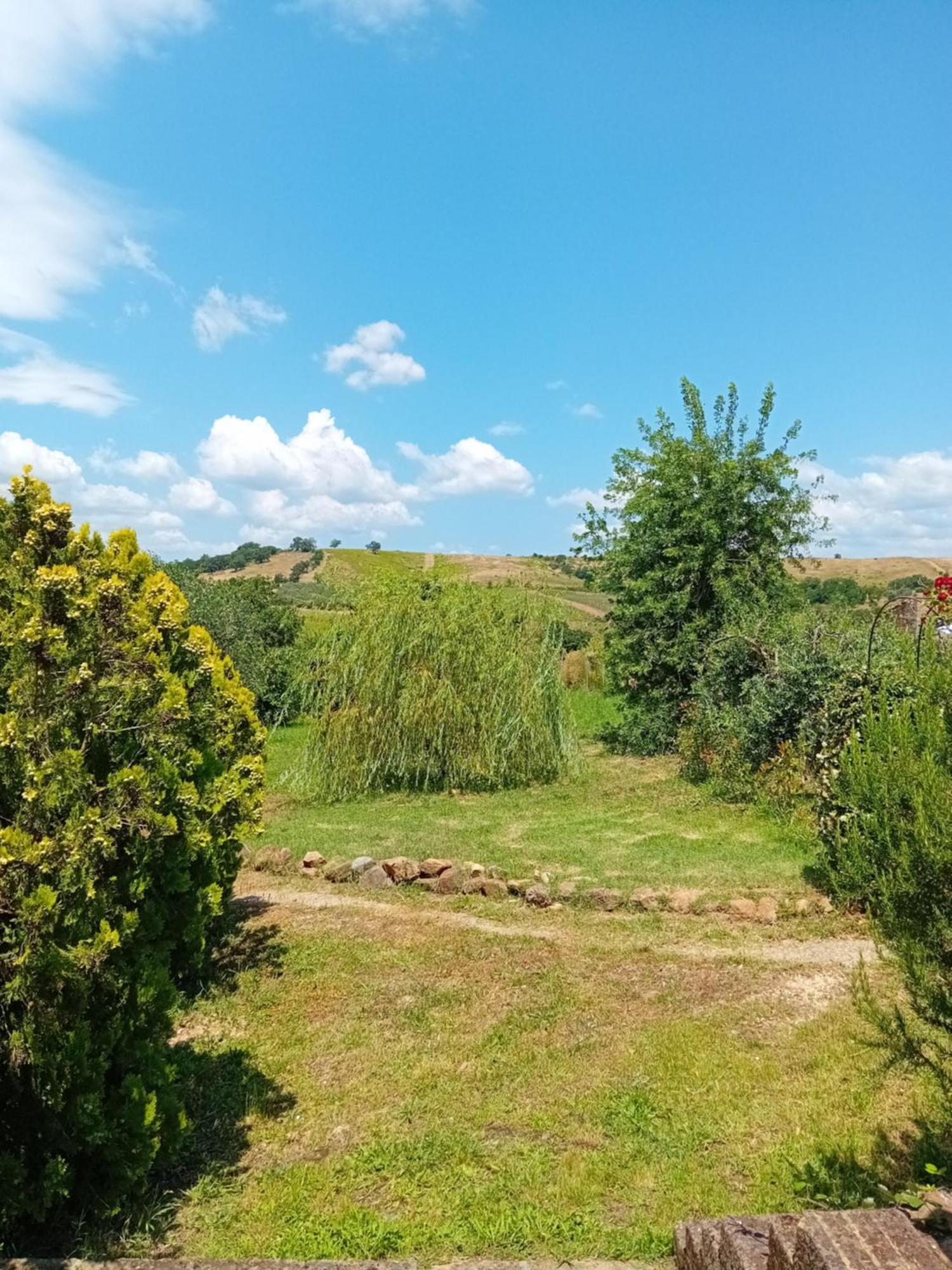 Borgo De' Muracci Ribolla Экстерьер фото